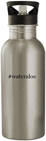 Cadouri Knick Knack wateraloe - sticlă de apă din oțel inoxidabil 20oz, argintiu