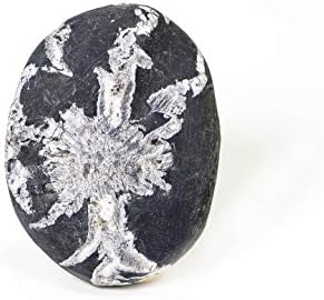 - Chrysanthemum Palm Stone-cristal de vindecare de calitate realizat cu piatră naturală și autentică / Reiki | meditație